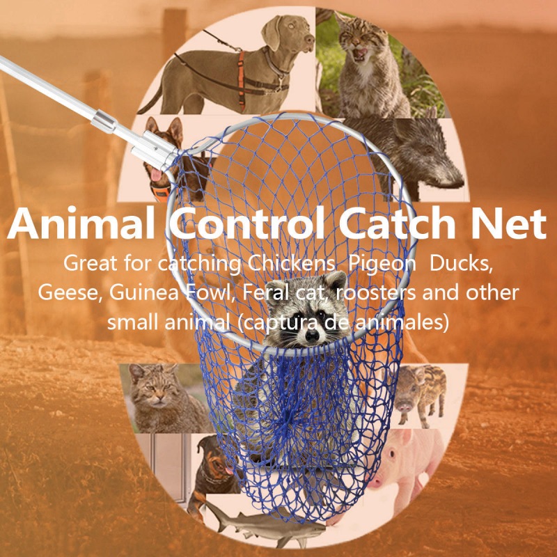 Animal Catcher Pole
