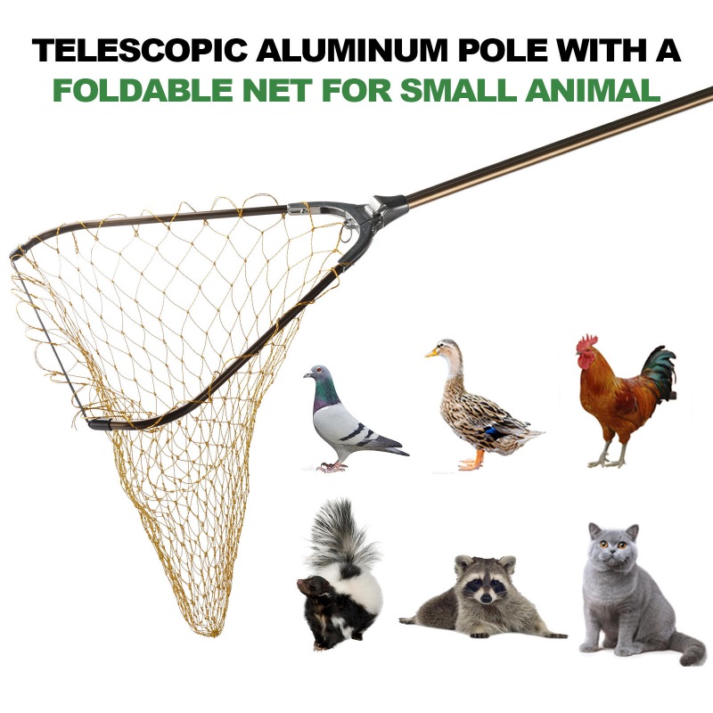Animal Catch Net with LED Light Kit(Extendable and Foldable)