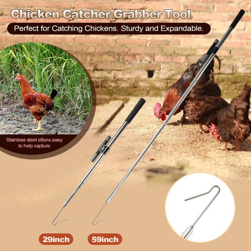 Chicken Leg Hook with LED Light