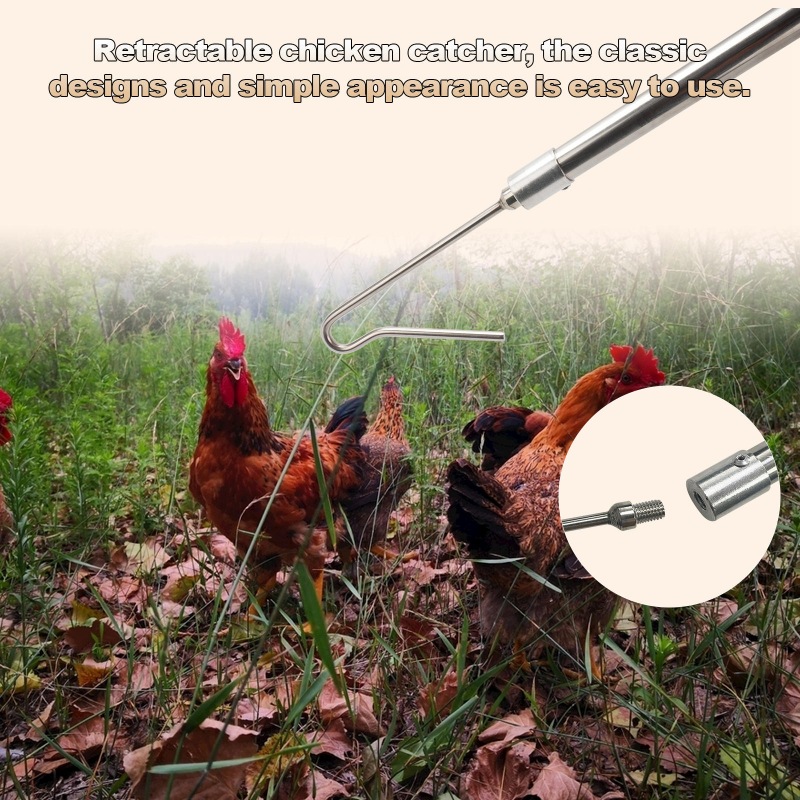 Chicken Leg Hook with LED Light