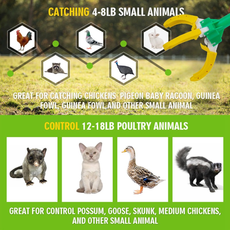 Chicken Catcher Animal Catch Pole
