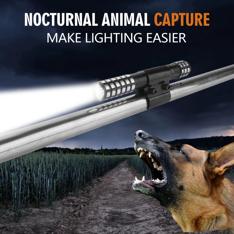 Dog Catch Pole(Black Non-Slip Sheath, LED light)