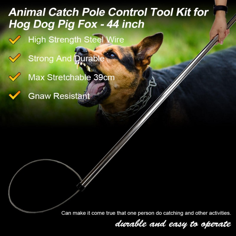Animal Catch Pole
