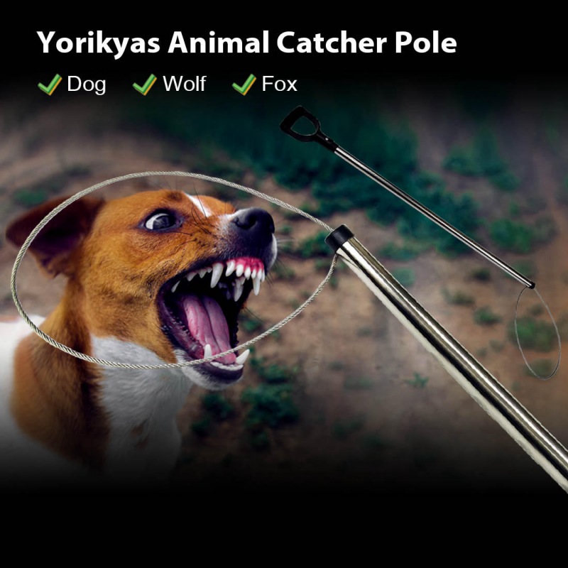 Animal Catch Pole