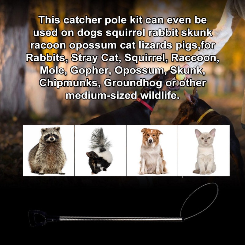 Animal Catch Pole