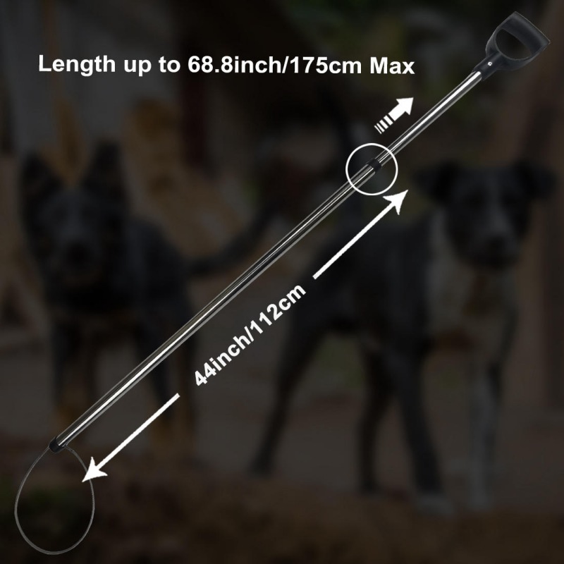 Animal Catch Pole