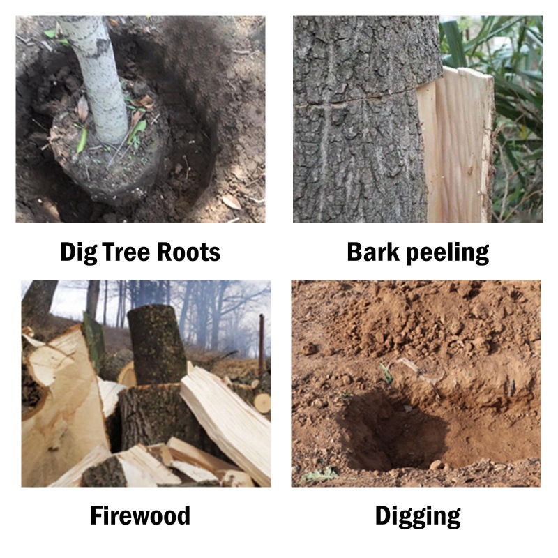 Tree Root Remover