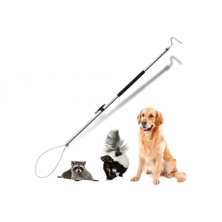 Safeguarding Animal Welfare: The Vital Role of Animal Control Poles and Catch Poles