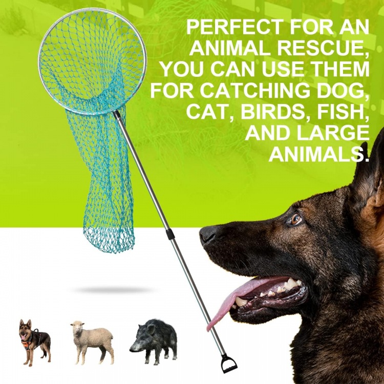 Stainless Steel Telescopic Animal Control Pole with Net: The Ultimate Solution for Humane Animal Handling