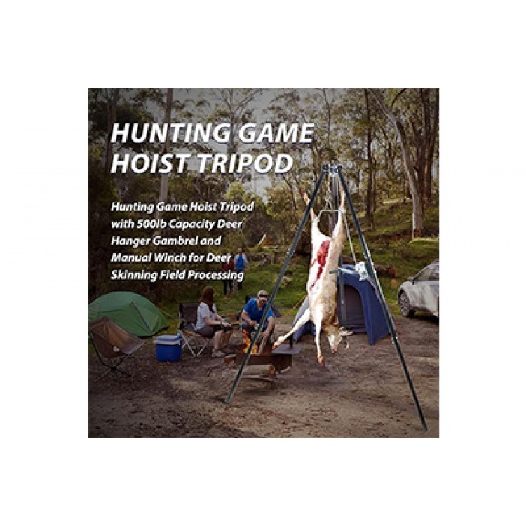 Mastering the Craft: Unveiling Hunting Knowledge and Essential Tools