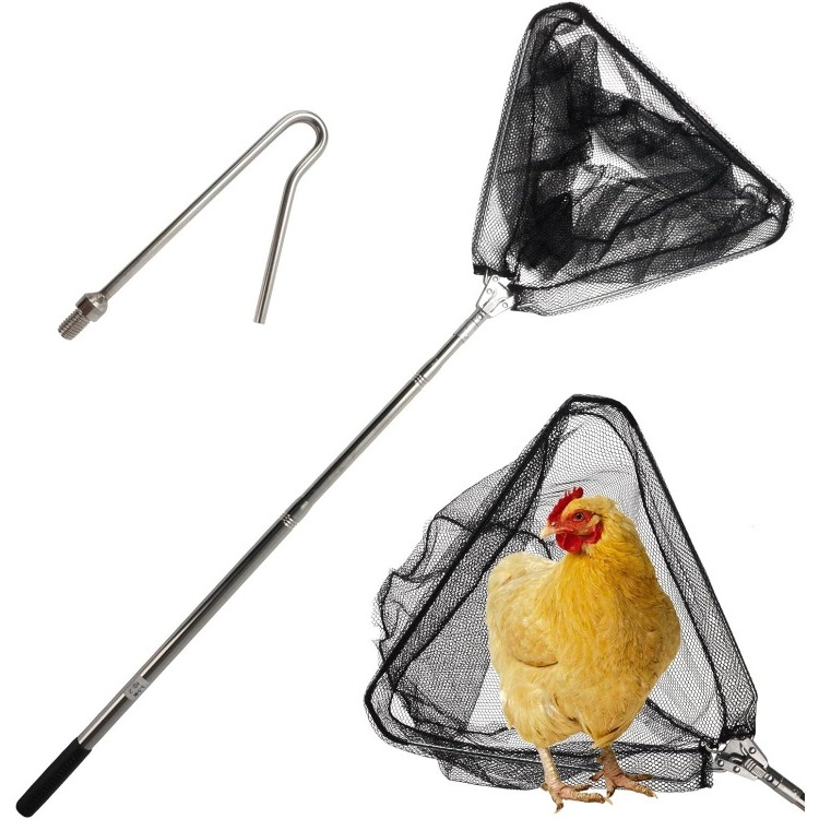 The Illuminated Chicken Leg Catcher: Innovation in Poultry Farming
