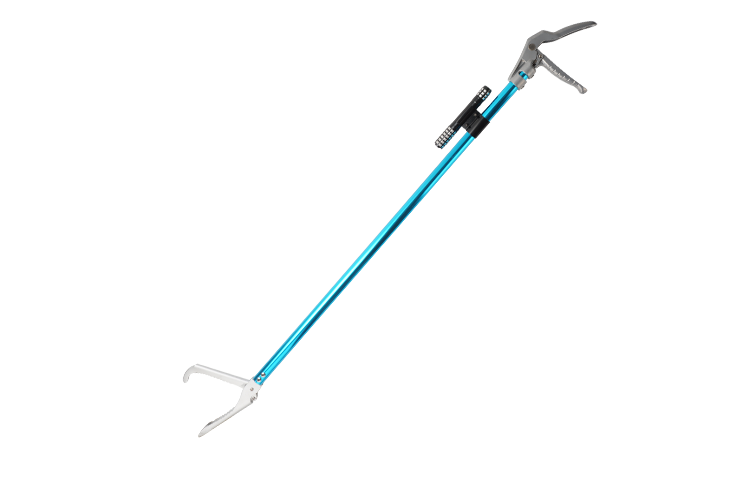 Snake Tong(Blue,60 Inch,LED)