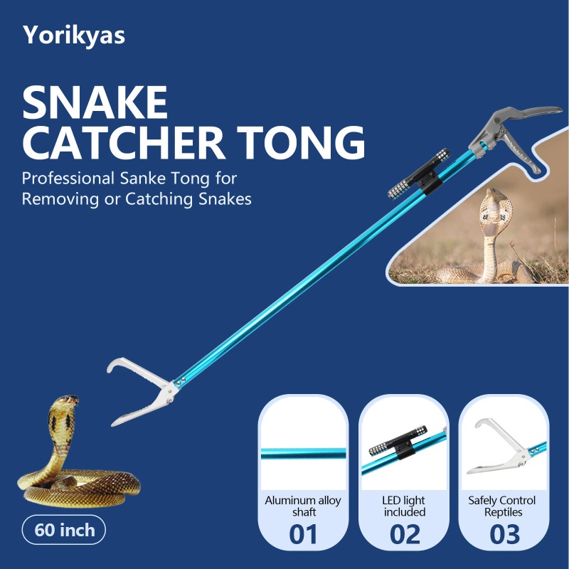 Snake Tong(Blue,60 Inch,LED)