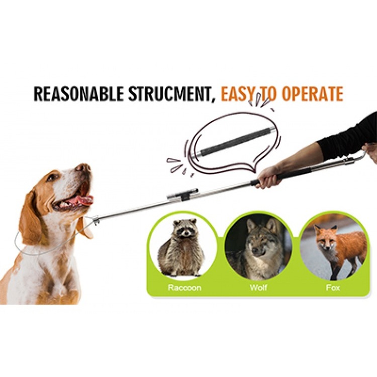 How to Catch and Control Wild Animals with the Dog Catcher Pole
