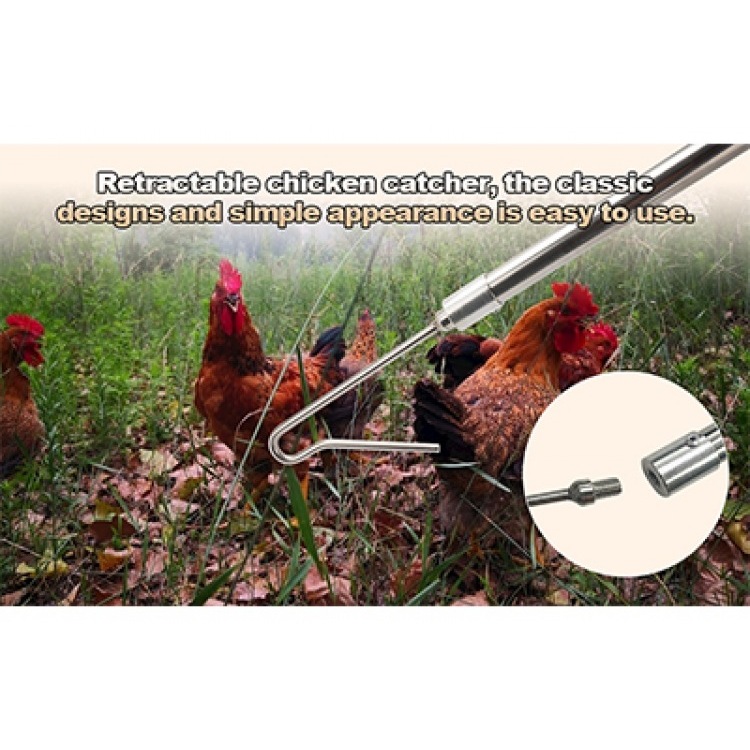 Chicken Catcher Grabber Tool: A Farm Essential for Gentle Poultry Handling