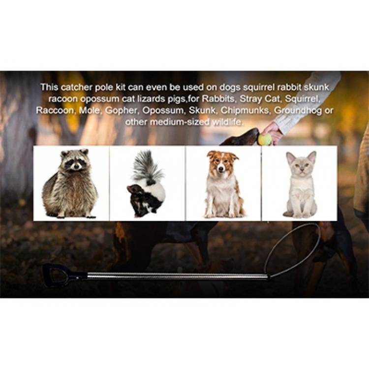 Empowering Animal Control: The Pet Capture Noose for Swift and Safe Encounters