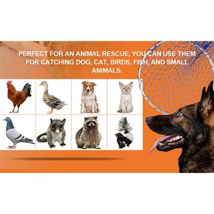 Empowering Animal Control: The Essential Animal Control Pole Tool