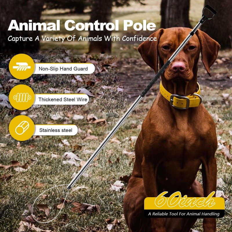 Animal Catch Pole Wildlife