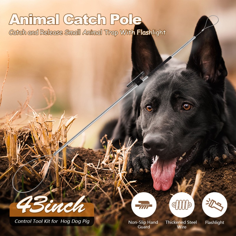 Animal Control Pole Dog Catch Rod Noose Holder Tool for Medium Large 
