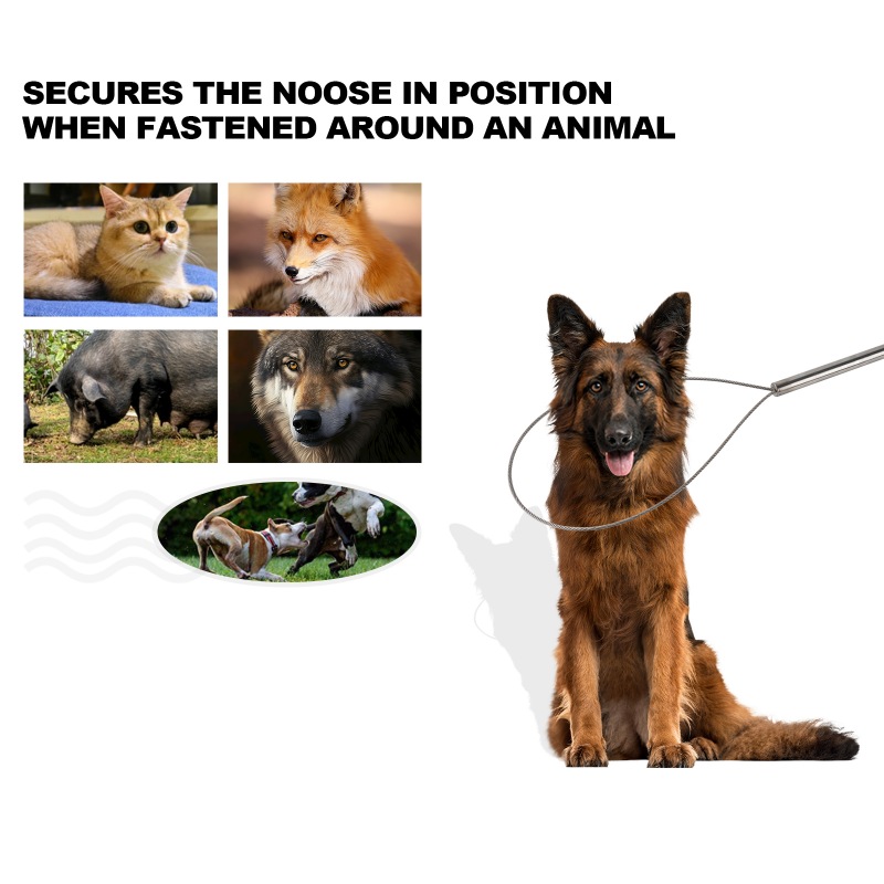 Animal Control Pole Dog Catch Rod Noose Holder Tool for Medium Large 