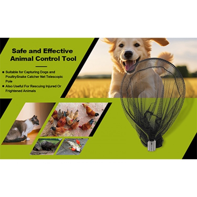 Harnessing Versatility: The Dog Catcher Tool and Chicken Catching Net Pole Combo