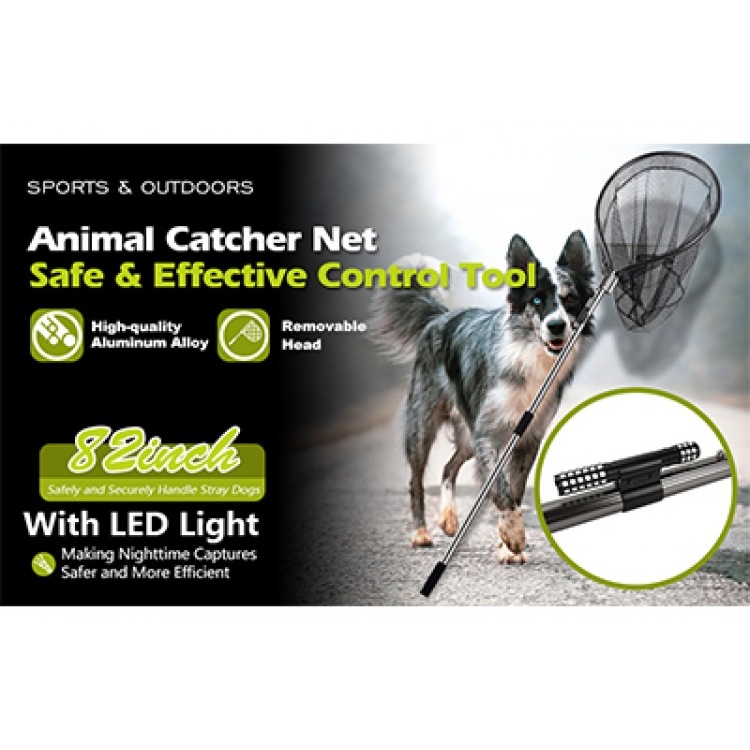 Essential Cat Catching Net: The Ultimate Tool for Wildlife Control
